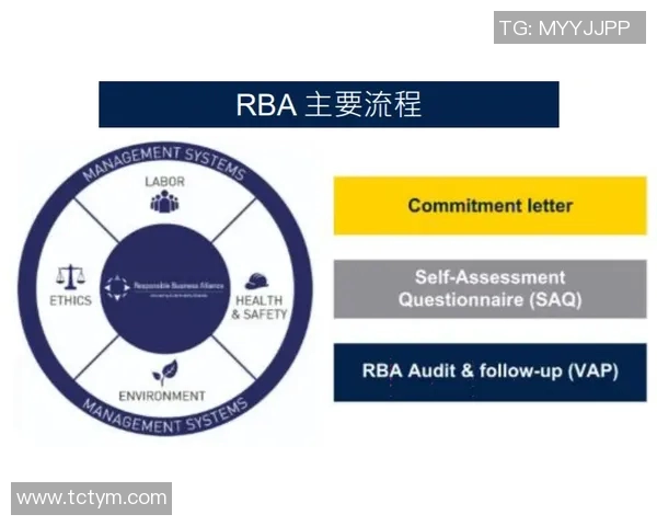 以保障安全为核心构建智慧城市推动技术创新与社会可持续发展 以保障安全为核心构建智慧城市推动技术创新与社会可持续发展