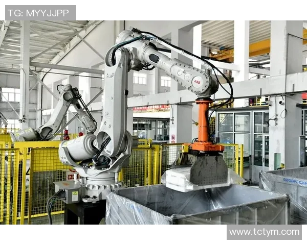 橡胶制品的创新应用与未来发展趋势解析