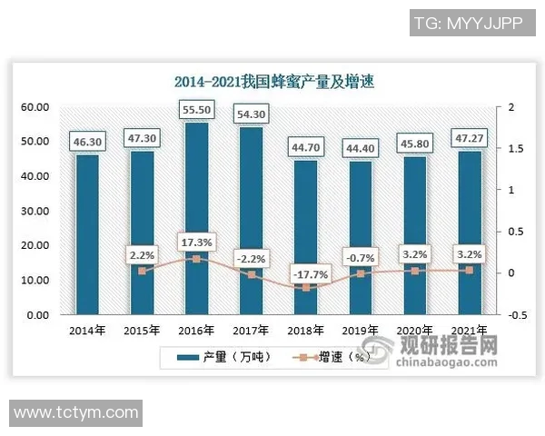 丹麦与波兰足球对决数据分析与统计研究报告
