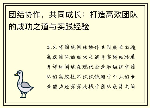 团结协作，共同成长：打造高效团队的成功之道与实践经验